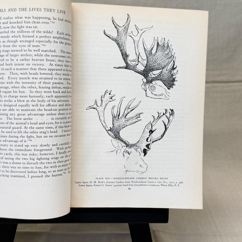 Vintage Black Leather Decorative Book Neutral Shelf Decor Moody Library Styling image 12