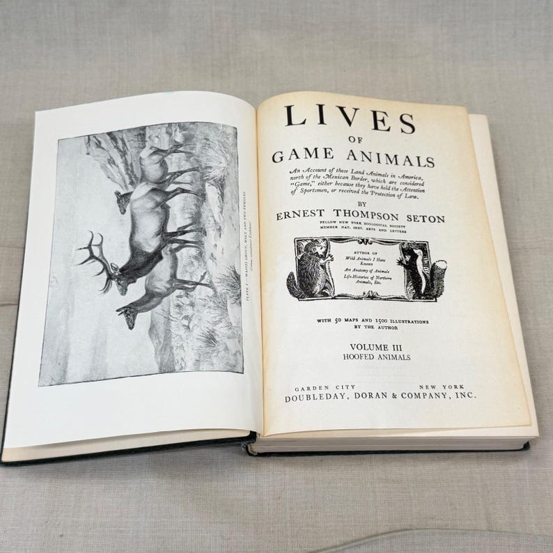 Vintage Black Leather Decorative Book Neutral Shelf Decor Moody Library Styling image 9