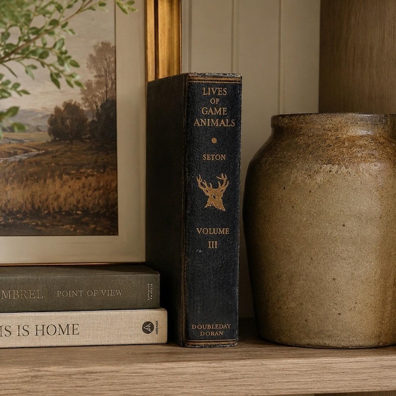 Vintage Black Leather Decorative Book Neutral Shelf Decor Moody Library Styling image 1