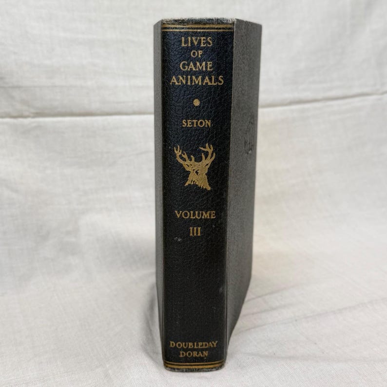 Vintage Black Leather Decorative Book Neutral Shelf Decor Moody Library Styling image 3