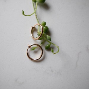 May include: A pair of gold hoop earrings with a clip-on closure. The earrings are on a white surface with a green plant in the background.