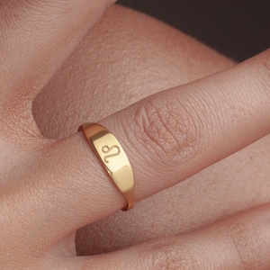 Sternzeichen Ring, Siegelring, Sternzeichen Symbol Ring, zierlicher Ring, Geburtstagsgeschenk, Astrologie Ring, personalisierte Sternzeichen Ring, 925 Sterling Silber,