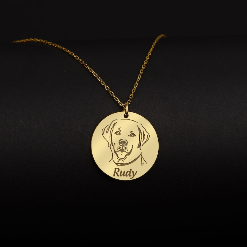 Pet Photo Engraving Necklace Pet Name Jewelry in Sterling image 1