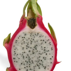 Dragon Fruit Plant