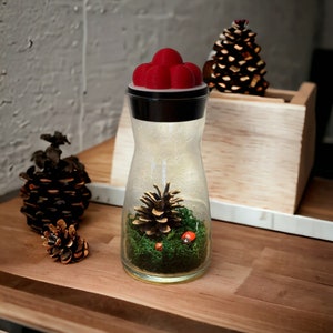 Könnte beinhalten: Eine klare Glasflasche mit einem roten und schwarzen Deckel, die einen kleinen Tannenzapfen und grünes Moos enthält. Die Flasche wird von innen beleuchtet und erzeugt so ein warmes Leuchten.