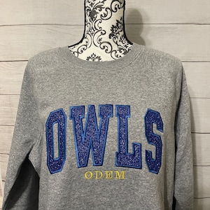 May include: Gray sweatshirt with a blue and gold embroidered "OWLS" with the word "ODEM" underneath.