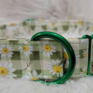 Daisy op groene geruite halsband-Martingaal of gesphalsband