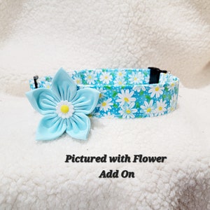Daisy on Blue Dog Collar- Martingale or Clip Collar
