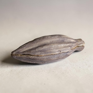Op de afbeelding: Een donkerbruin, langwerpig, getextureerd object in de vorm van een cacaopeul. Het oppervlak heeft diepe, verticale ribbels en een verweerde, matte afwerking. Het object is horizontaal over de lengte gespleten.