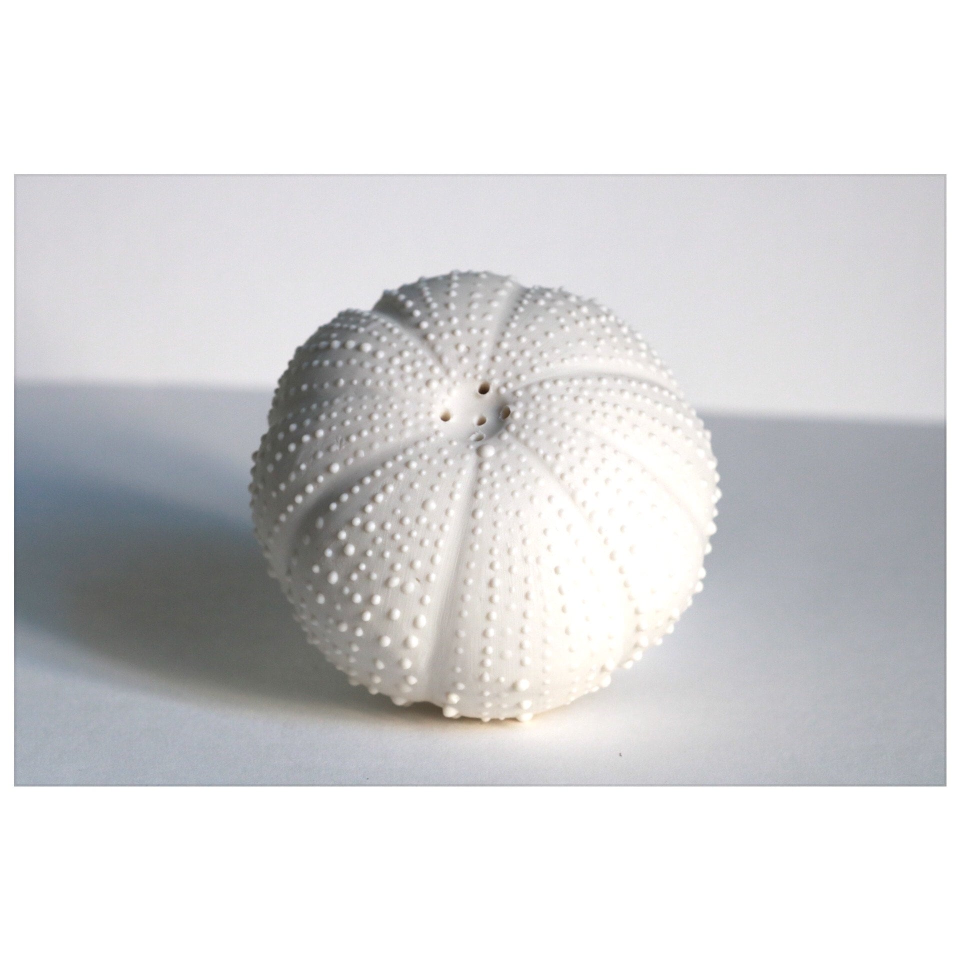 Salière Oursin Porcelaine Blanche Fait Main