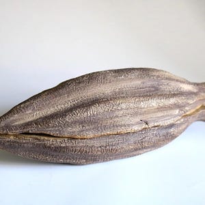 Peut inclure: Un grand récipient décoratif oblong avec une surface texturée et nervurée. Le récipient est de couleur marron clair avec des accents beige clair. Les deux moitiés du récipient sont légèrement séparées.