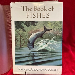 1952 National Geographic Society The Book of FISHES  Food & Game Aquatic Life