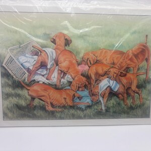 Vizsla 4er Pack Karten
