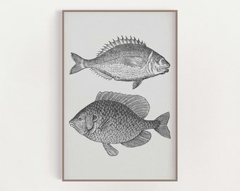 Vintage Fish Print - Coastal Gray - Fishing Wall Art - Coastal Wall Art - Beach House Decor - Wall Art Poster - Vintage Style