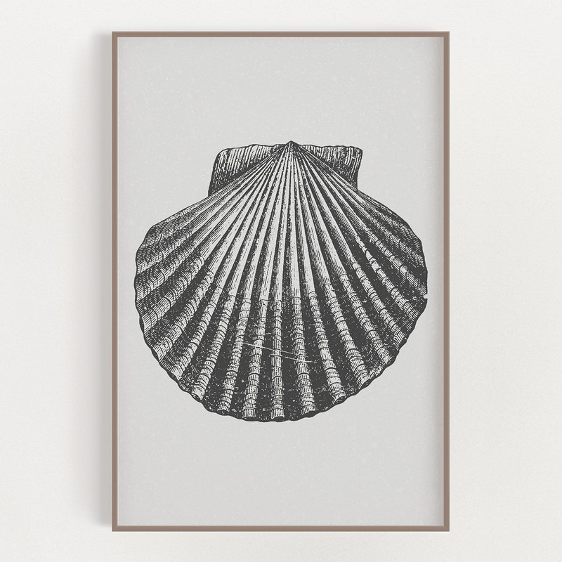 Sea Shell Print - Etsy