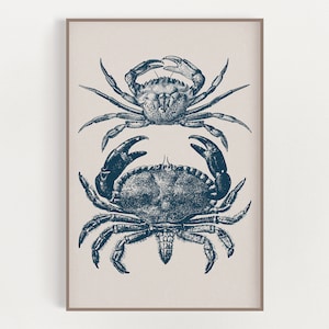Sea Crabs Print - Coastal Nautical - Beach House Decor - Wall Art Poster - Vintage Style - Coastal Wall Art