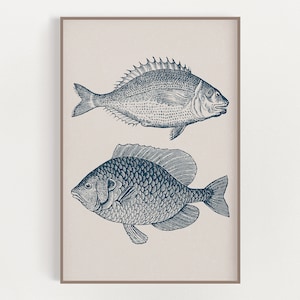 Vintage Fish Print - Fishing Wall Art - Coastal Wall Art - Beach House Decor - Wall Art Poster - Vintage Style