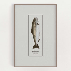 Salmon Fishing - Gone Fishing Art - Kitchen Wall Art - Seafood Decor - Salmon Fish Art Print Poster - Nautical Home Decor - Salmon Art