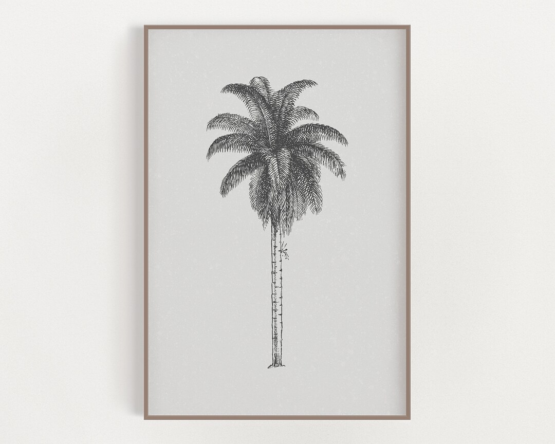 Palm Tree Print - Coastal Gray - Modern Coastal Art - Black and White ...