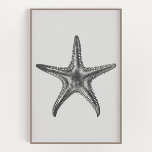 Starfish Print - Coastal Gray - Modern Coastal Art - Black and White - Coastal Wall Art - Beach House Decor - Wall Art Print
