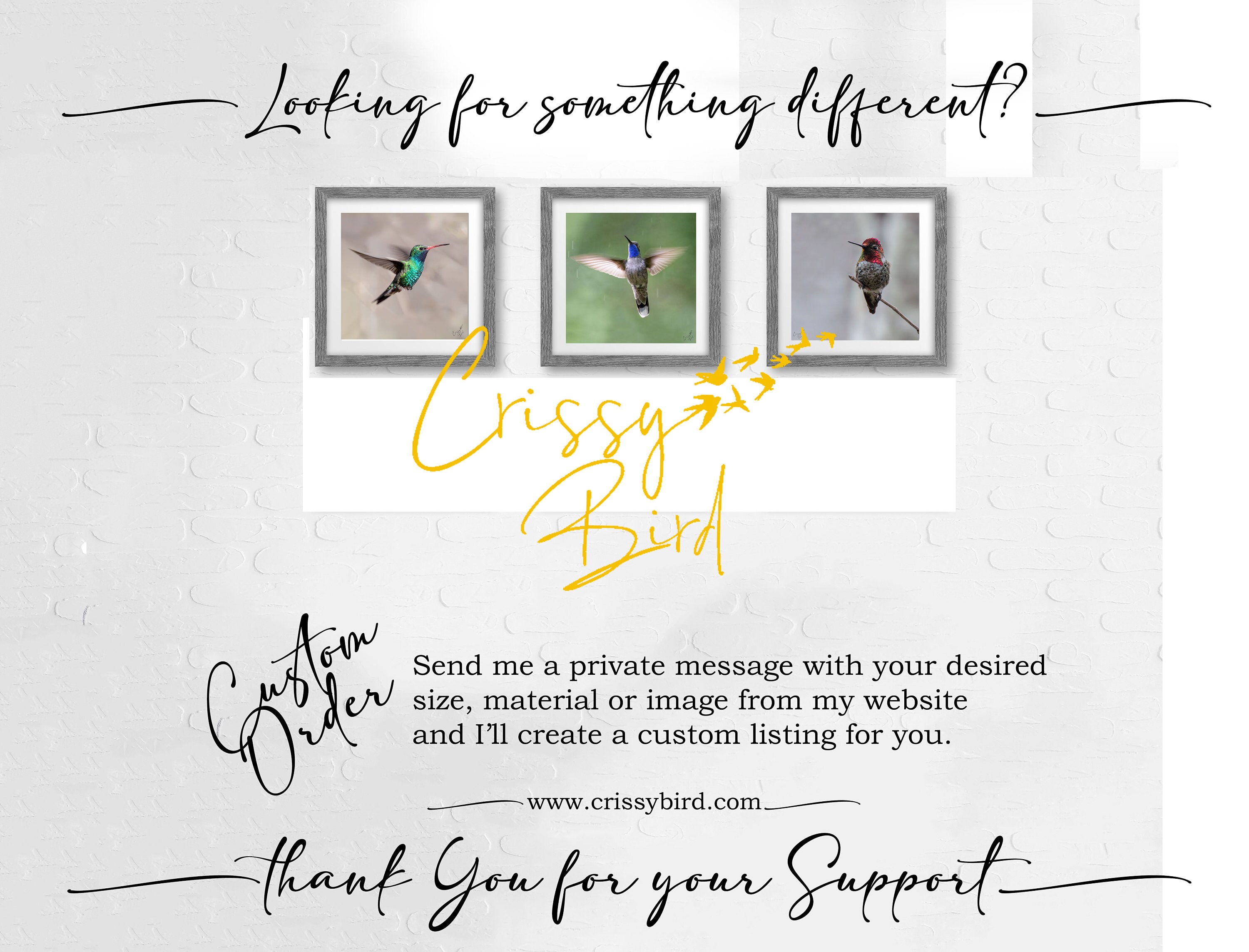 Fine Art Metal or Photo Print Wall Decor Bird Nature Etsy