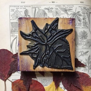 French vintage rubber stamp noisetier, hazel, tampons, herbier, botanique, rubber stamps