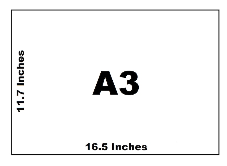 May include: A white rectangular sheet with the text "A3" in bold black font. The dimensions are labeled as 11.7 inches by 16.5 inches.