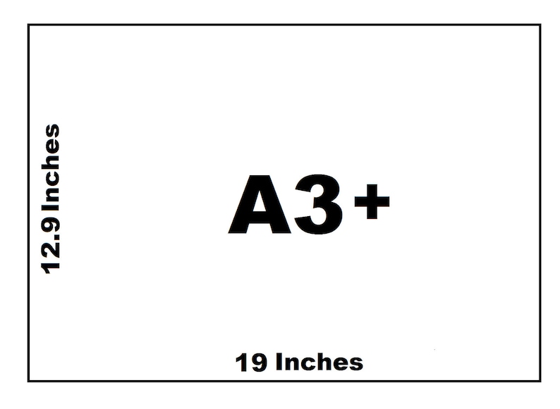 May include: A white rectangular image with the text "A3+" in bold black font. The image is 19 inches wide and 12.9 inches tall. The dimensions are labeled in black text on the left and bottom edges of the image.