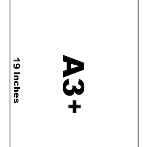 May include: A3+ paper size with dimensions of 12.9 inches by 19 inches.