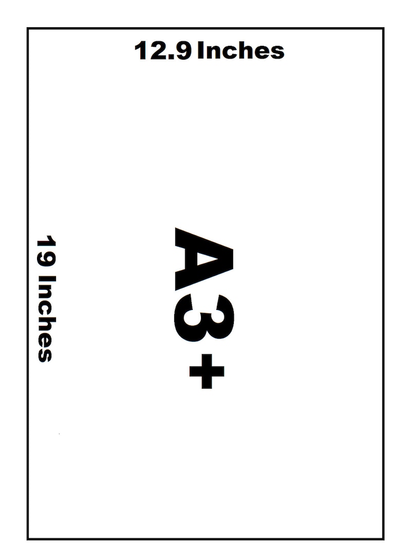 May include: A3+ paper size with dimensions of 12.9 inches by 19 inches.