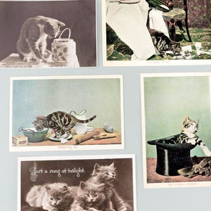 5x Vintage Katzen- und Kätzchen-Themen-Postkarten, Farbe und Sepia, britische antike Novelty-Karten, Judges Ltd, My Fäustlinge, bitte