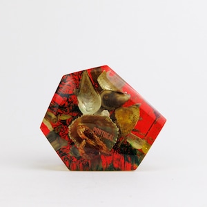 Vintage Portugal Resin Lucite Paperweight, Red and Yellow Resin with Sea Shells and Shrimp, Nautical Retro Plastic, Kitsch