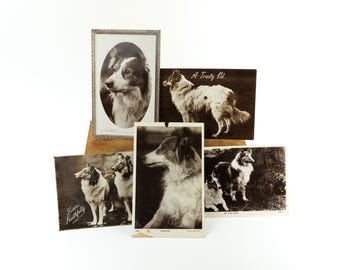 5x Vintage Hunde-Themen-Postkarten, Collie Hund, schwarz und weiß, Sepia, antike Edwardian Karten, frühes 20.Jahrhundert, Dreh-Fotoserie