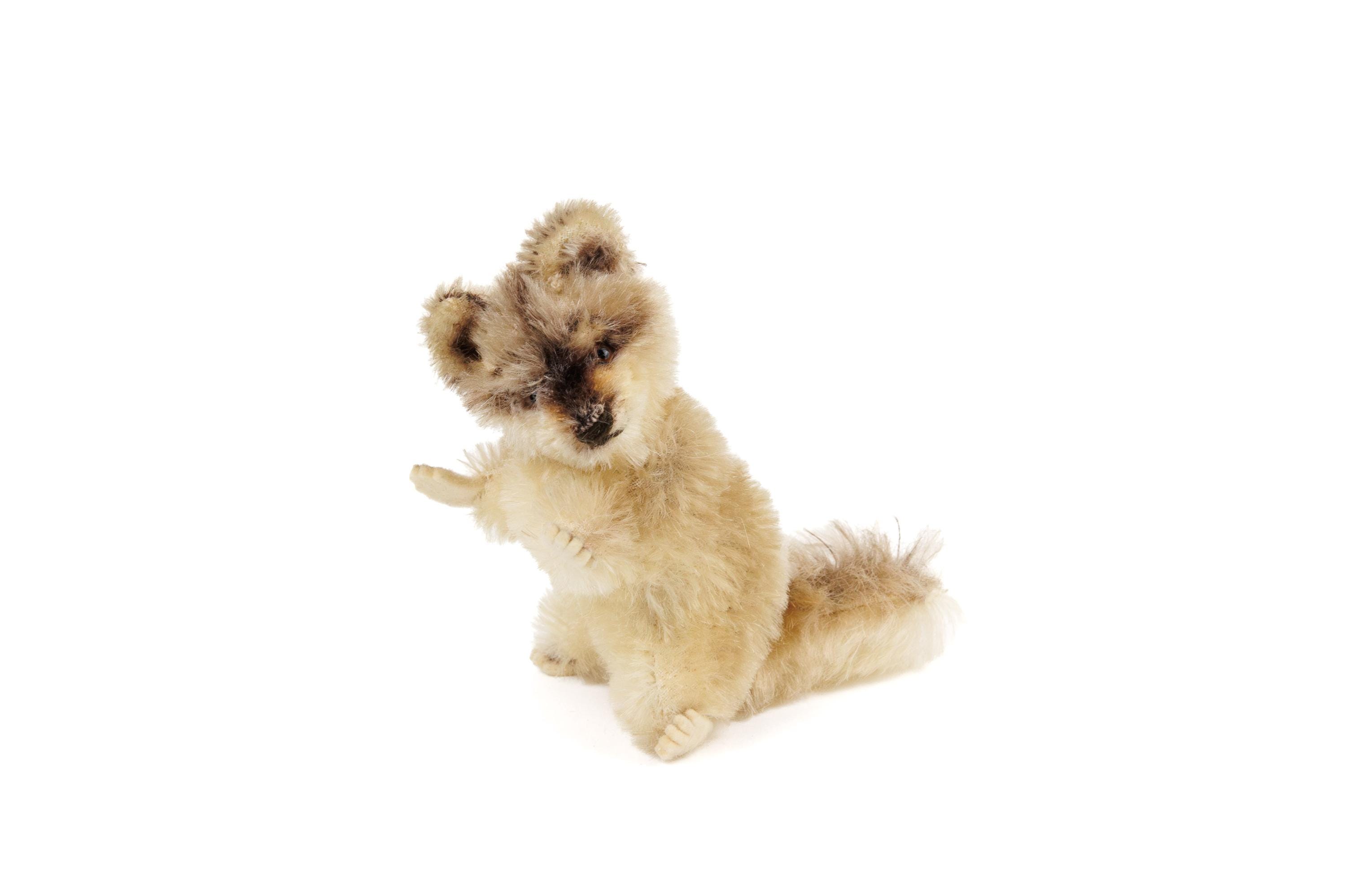 Vintage Steiff Raccoon - Etsy