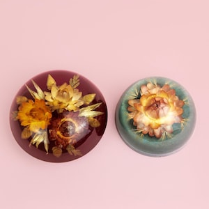 2x Vintage Resin Lucite Briefbeschwerer, Rotes und Graublaues Resin mit Gelben und Rosa Trockenblumen