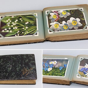 Sammlung von 89 Vintage Blumenpostkarten 1930er-60er Jahre, darunter Margaret Tarrant, in dunkelgrünem Album, Geburtstag, Weihnachten, Blumen, alte Briefmarken