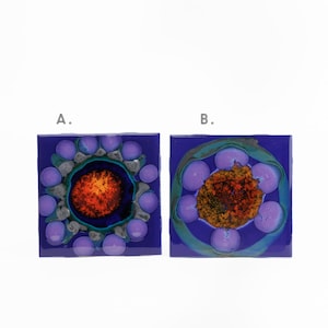 May include: Two square ceramic tiles with abstract designs. Tile A features a central orange and red design surrounded by purple spheres and a dark blue border. Tile B has a similar design with a different color palette.