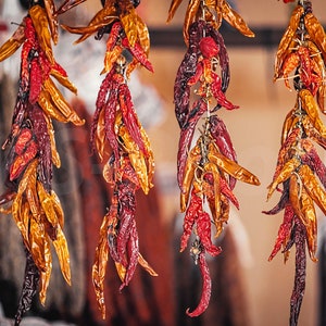 Op de afbeelding: Close-up van verschillende strengen gedroogde chilipepers, met een levendige mix van rode, oranje en gele tinten. De pepers hangen, wat een rustieke en natuurlijke esthetiek creëert. De afbeelding suggereert een culinair of decoratief thema.