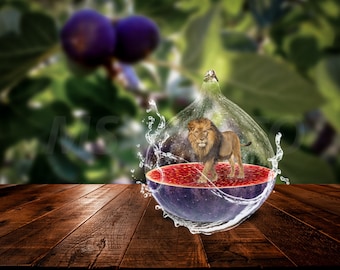 Surrealistic, Fruit, Fig, Photo Manipulation, Transparency, JPEG, Photo, Lion, Christmas Gift, Decoration, Print