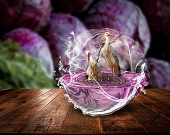 Surrealistic, Vegetable, Red Cabbage, Photo Manipulation, Transparency, JPEG, Photo, Stork, Christmas Gift, Decoration, Print