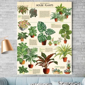 House Plant Poster “20x28”| Plant Lover Poster| Vintage Poster| Paper poster| Plant Poster| Large Poster| Quality Poster|FREE PLANT STICKER