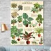 Insects 20 X 28 Poster Large Posterquality Postervintage Posterwall ...