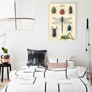 Insects “20 X 28” Poster| Large Poster|quality Poster|vintage Poster ...