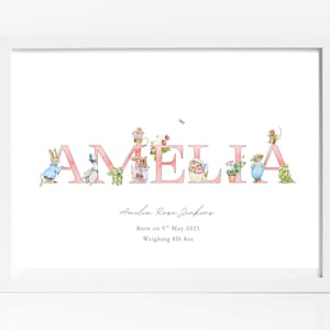 May include: A white framed print displaying the name "Amelia" in pink, decorated with charming illustrations of storybook characters. The print also includes the birth date and weight.