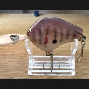 Può includere: Un'esca da pesca color marrone e crema con corpo arrotondato, strisce verticali scure, un punto nero e un accento rosso vicino all'occhio. Presenta una paletta da immersione in plastica trasparente sul davanti e due ancorette metalliche sul retro.