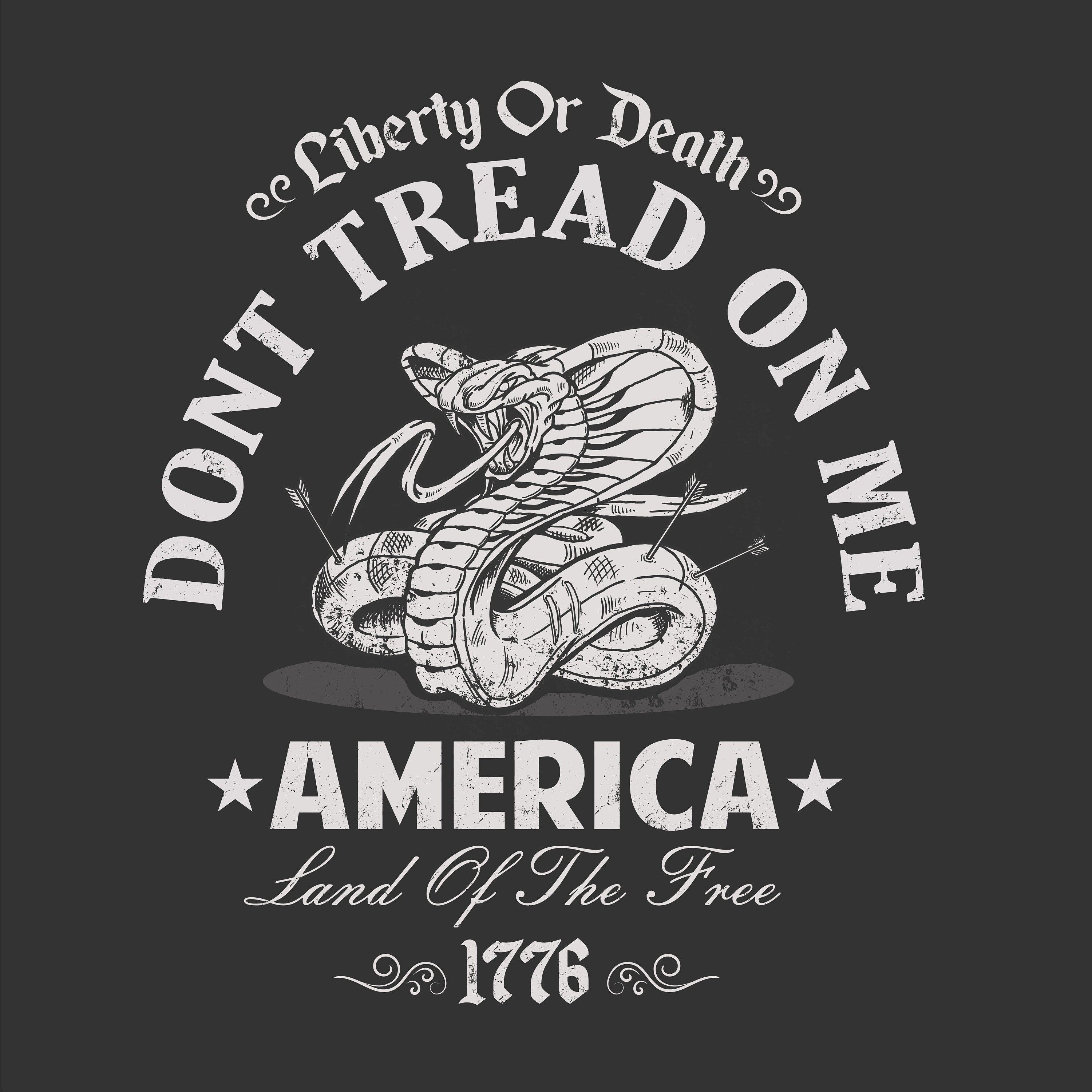 Don't tread on me svg pdf , libery or death , veteran png svg , patriotic svg png