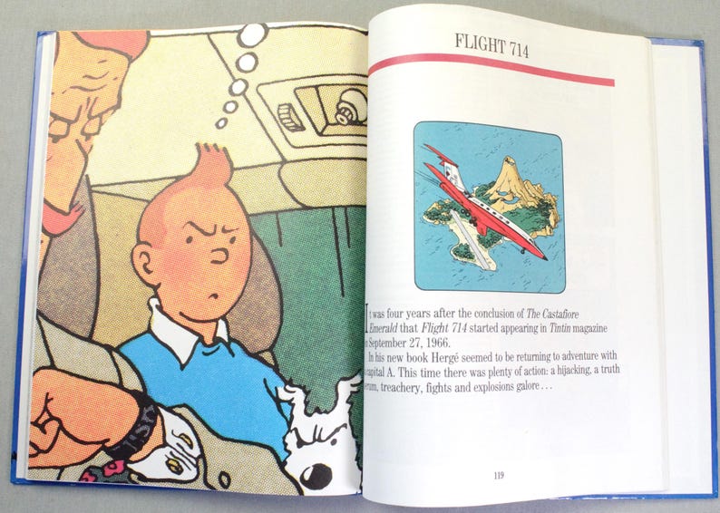 Puede incluir: Libro abierto con una ilustraci&oacute;n de c&oacute;mic de Tint&iacute;n y Mil&uacute;, y una p&aacute;gina con un dibujo de un avi&oacute;n rojo y blanco. El texto "FLIGHT 714" est&aacute; en la parte superior de la p&aacute;gina derecha.