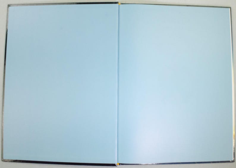 May include: An open book with light blue pages. The book is lying flat, with the left and right pages visible. The edges of the pages are a darker blue, and the spine is black.