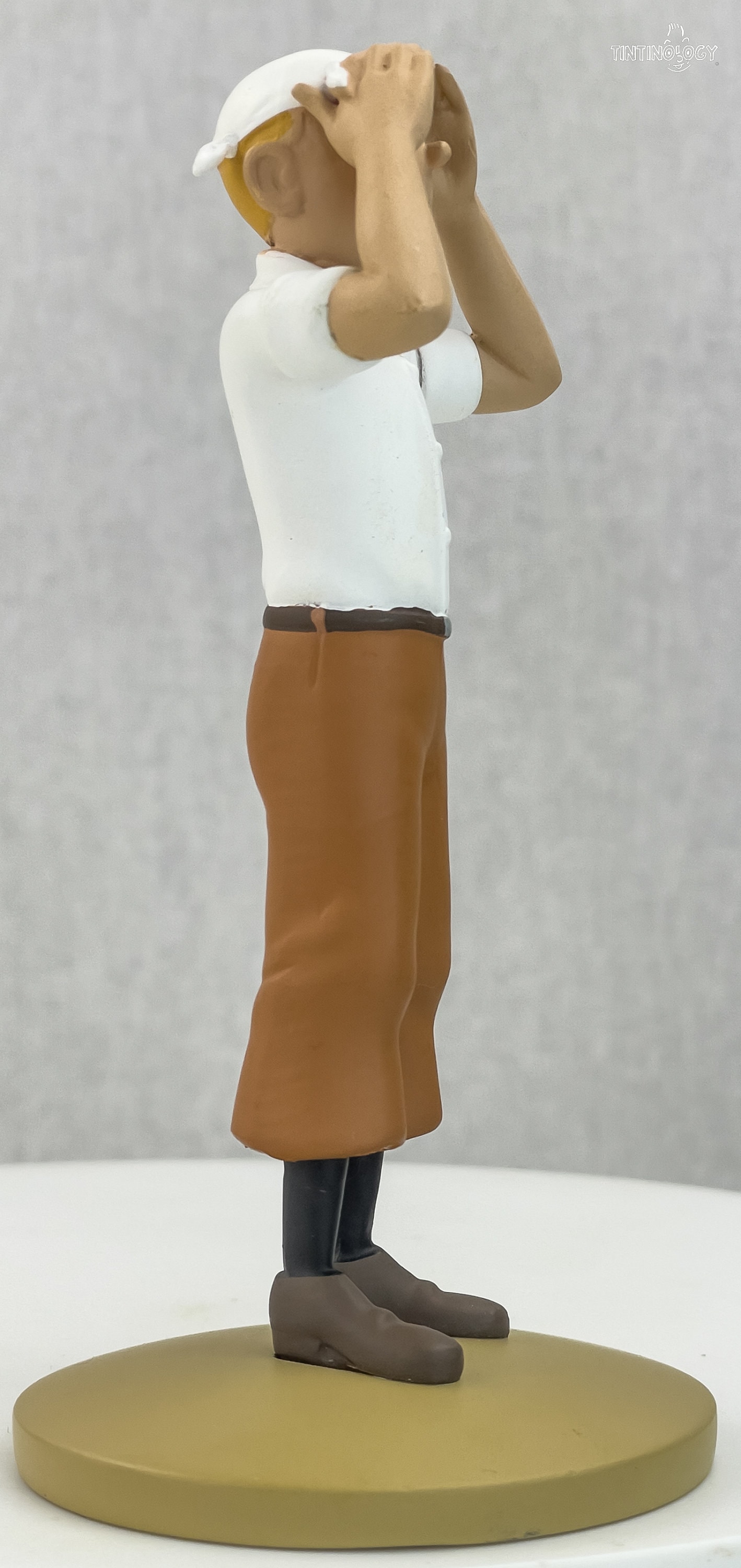 Tintin Figurine Officielle 77 Desert Tintin Crab Golden Claws Model — free download