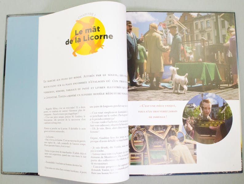 May include: An open book with a blue and white cover. The interior pages feature illustrations and text in French. One page has the title "Le m&acirc;t de la Licorne" in yellow and black. The other page shows a market scene with people and a dog.